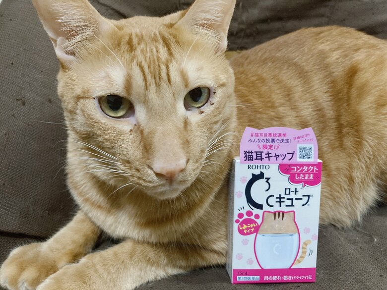 提供：たぬき&とらさん