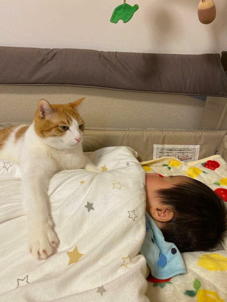 提供：Hassakuさん