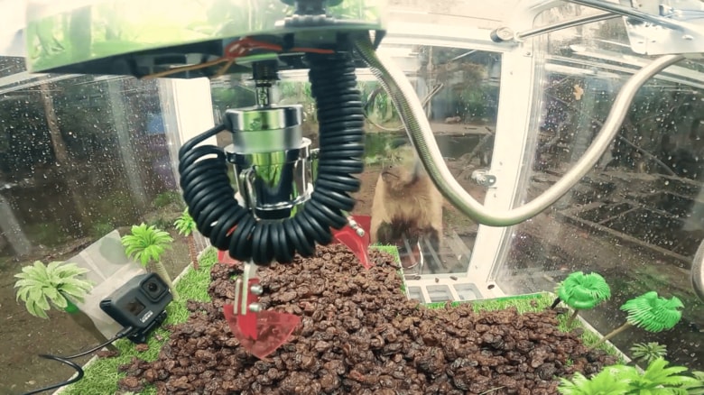 初成功の瞬間  （出典：株式会社ワイドレジャー）