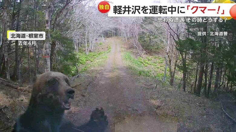 ヒグマが走行中の車に襲いかかってきた衝撃の事態