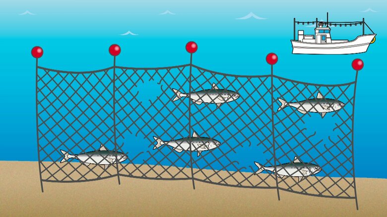 網を食い破って穴が空いてしまう