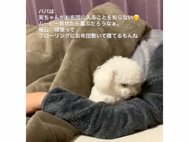 提供：＠tanaka.akemi1225