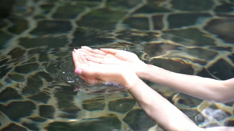 無色透明でサラサラなお湯