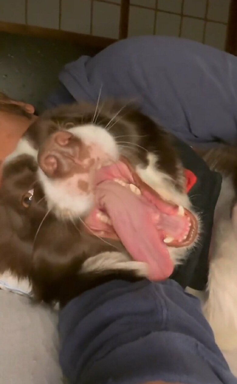 トモさんの腕の中