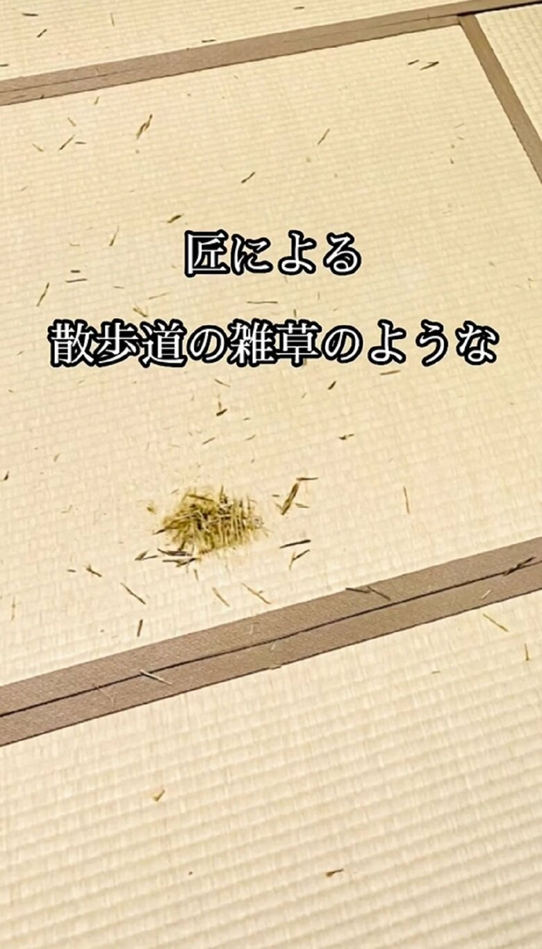 匠による散歩道の雑草のような