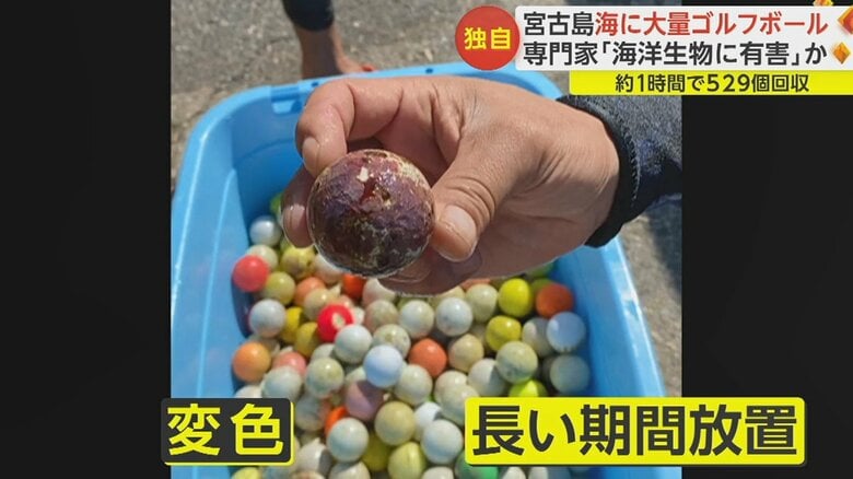 カゴいっぱいに入っているが、回収できたのはほんの一部だという