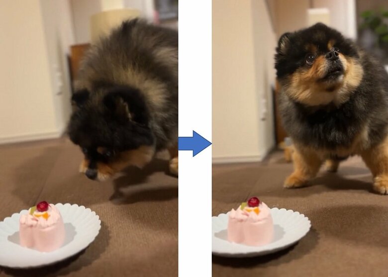 「本当に食べてもいいの？」といった様子