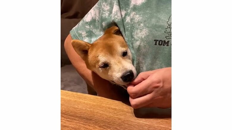 隙間に頭を入れたまま、おやつをモグモグ