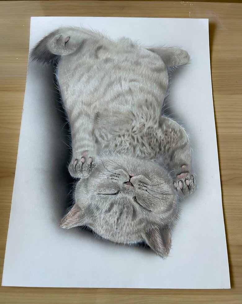 猫（提供：ARIAさん）