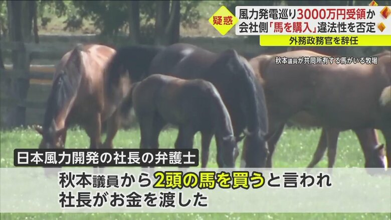 「2頭の馬を買うと言われ、金を渡した」と弁護士