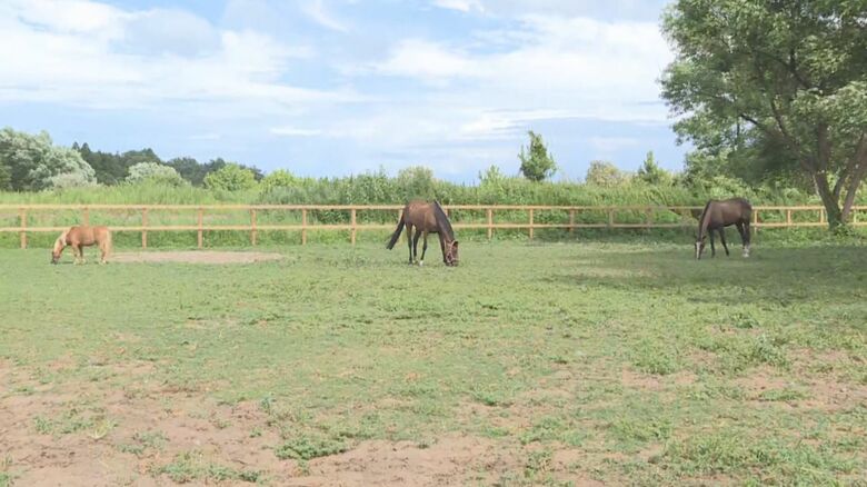 珠洲ホースパーク