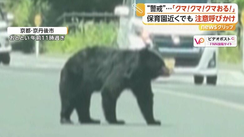 ドライブ中の車の前に現れたのは、巨大なクマ（13日午前11時過ぎ、京都・京丹後市）