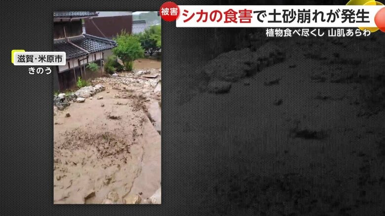 滝のように土砂が住宅街へ流れる様子（視聴者撮影）