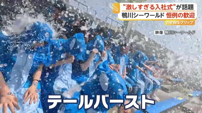 歓迎の水を思い切り浴びせる鴨川シーワールド恒例の“激しすぎる入社式”