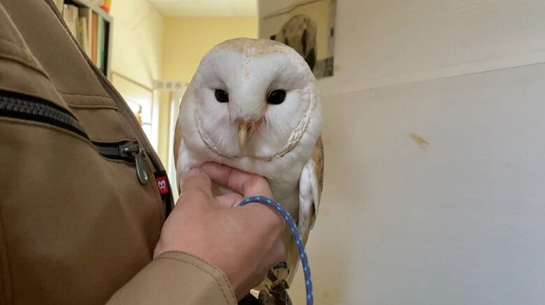 撫でられてご満悦