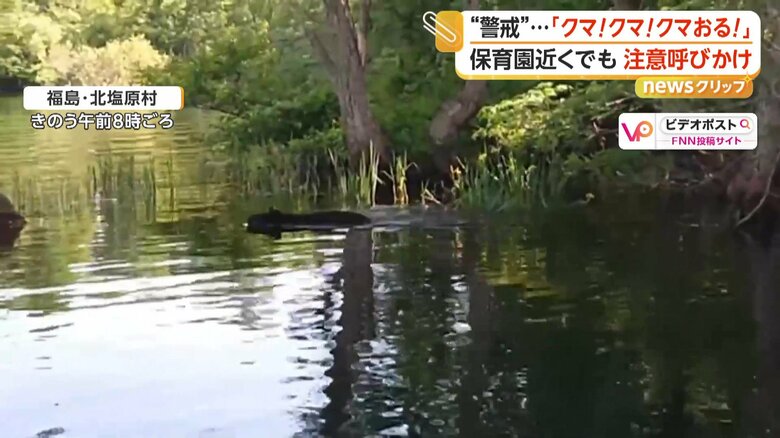 泳いで対岸に渡るクマ（14日午前8時頃、福島・北塩原村）