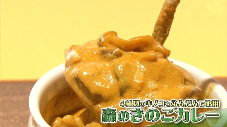 森のきのこカレー