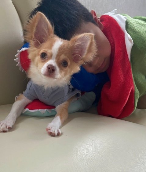 提供：ふくのすけさん