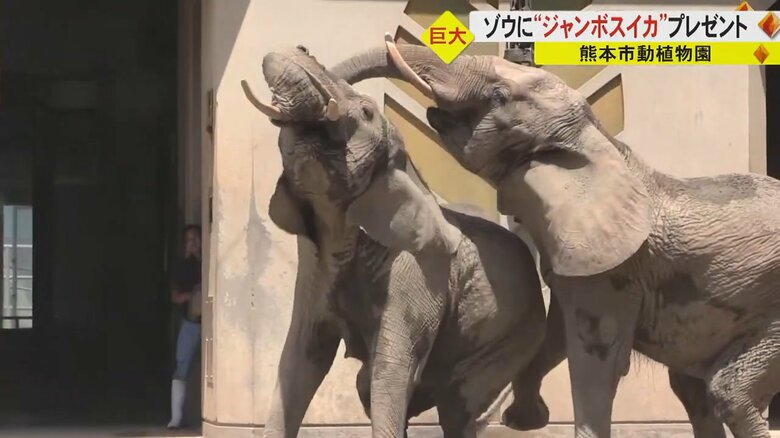 マリーとエリ「ありがとう」？