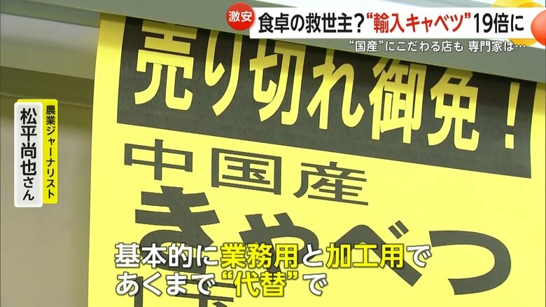 専門家によると、外国産キャベツは「業務用と加工用であくまで代替」