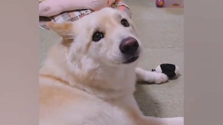 家族が自分のことを話題にしてないと、不満を訴えることも