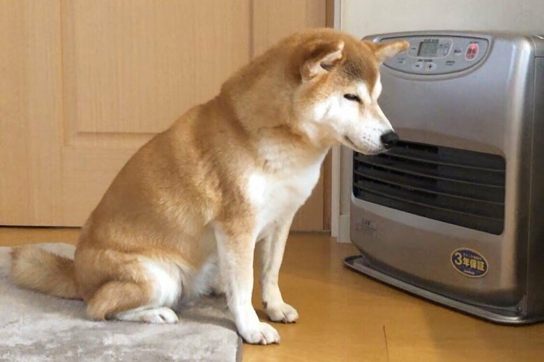 ヒーターを前にすると野生を忘れる