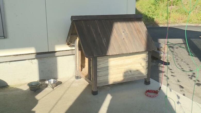 クマに襲われた柴犬が住んでいた小屋