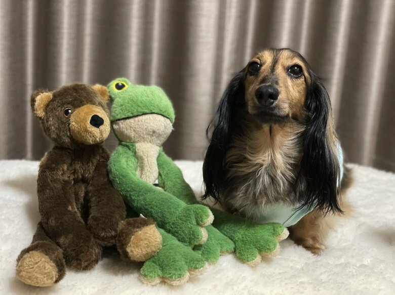 提供：るのんさん