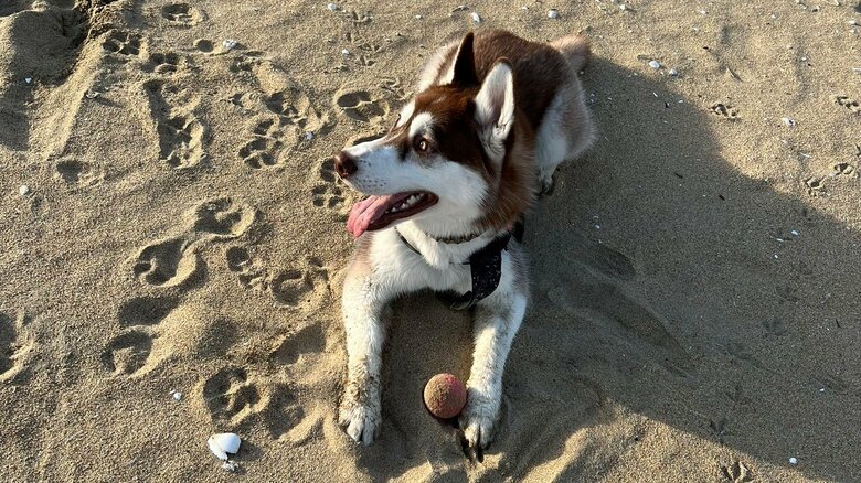 泥んこになって遊ぶ様子