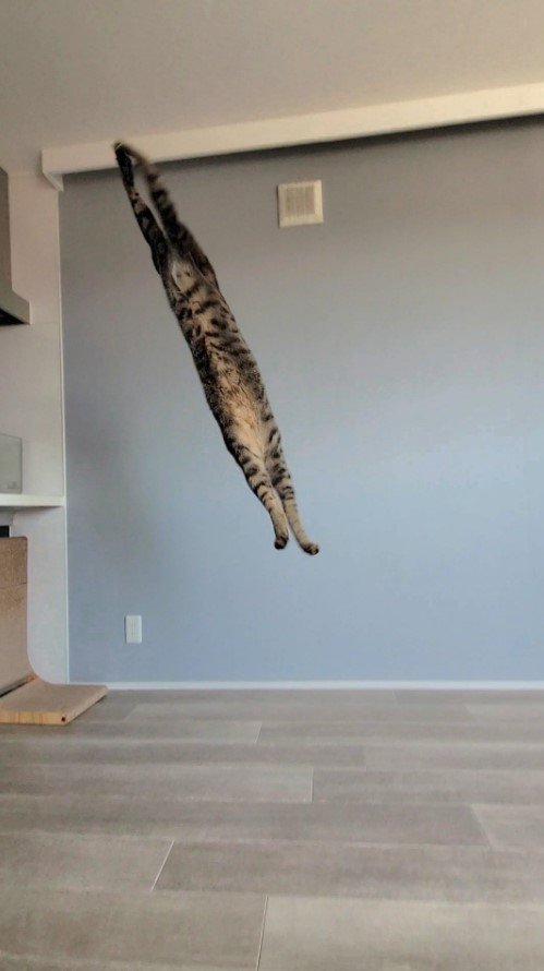 提供：しぴこめさん