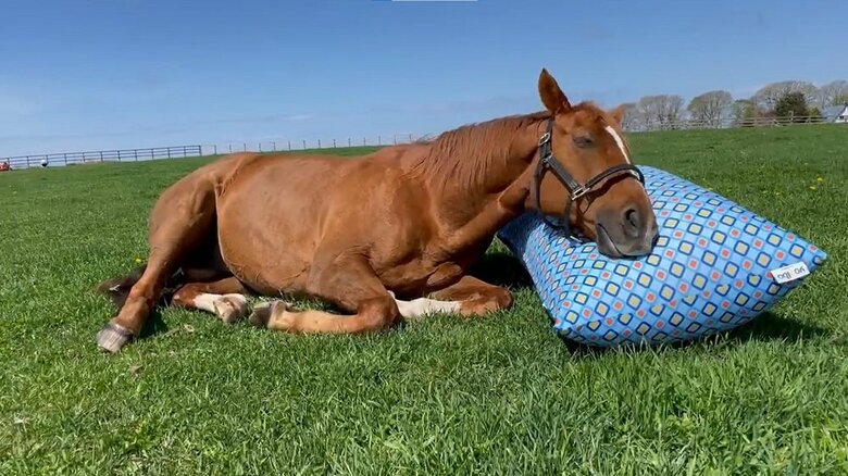 既に気持ちよさそう…