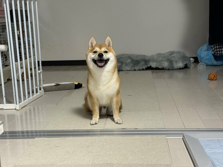 提供：わさび一族さん