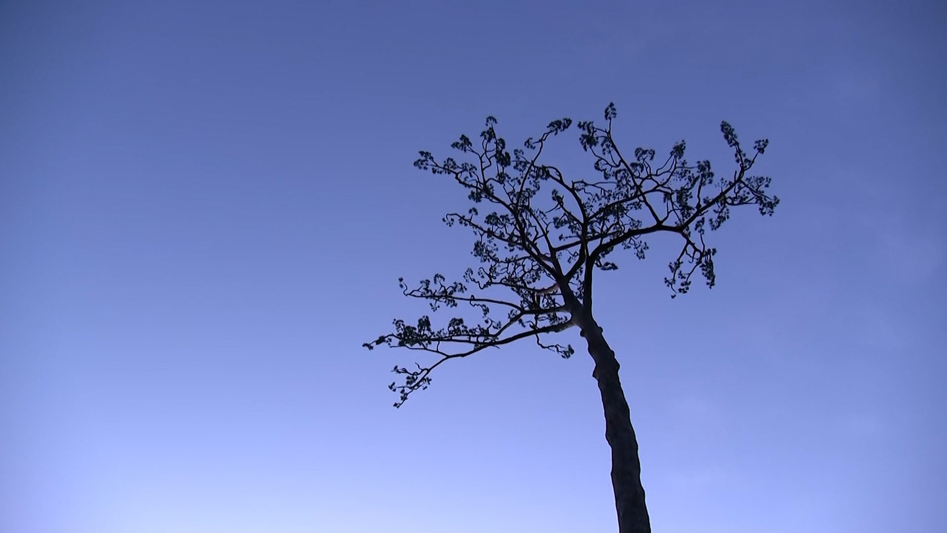 いまだに2519人が不明　海岸では日の出に合わせ祈り　福島第一原発廃炉への道は不透明　東日本大震災からきょうで15年