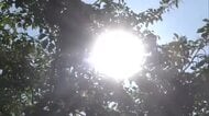 2日連続の「熱中症警戒アラート」発表　各地で午前中から真夏日に　最大級の熱中症対策を　秋田