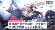 カキ大量死　廿日市市が養殖業者への支援策を発表　資金借入時の利子負担や共済掛金の上乗せ補助　広島