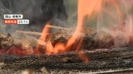 雨でも大盛況！“わんだふるハロウィン”に焼き鳥フェス　全国の田中さん大集合「田中サミット」も