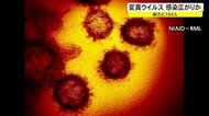 新たに103人感染 変異ウイルスも5例確認