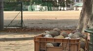「監督の叱責なければ自死はなかった」ようやく責任認め、遺族に県教委謝罪へ 高校野球部員自殺から9年#1【岡山発】