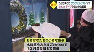一足早いクリスマス展示「おさかなたちの小さな聖夜」 大分・水族館うみたまご