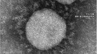 世界各地で急拡大 新変異株「オミクロン」 ワクチンの効果は… 専門家「いずれ国内でも流行の可能性」