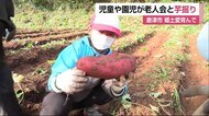子供たちが苗から大切に育てたサツマイモを収穫体験【唐津市】