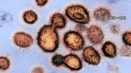 全国でこれまでに4004人の感染確認 重症者“最多”972人