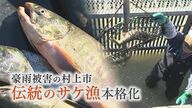 豪雨で稚魚など16万匹流出も… 被害乗り越え“伝統のサケ漁”本格化！村上市・三面川【新潟発】