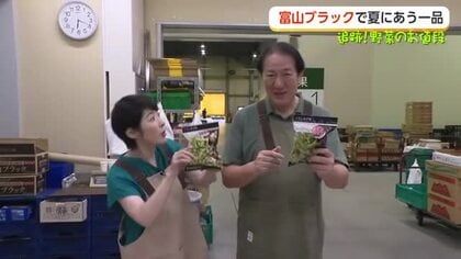 お盆前に値上がり必至　キャベツはすでに5割高　富山の「枝豆大豊作」で簡単絶品レシピも
