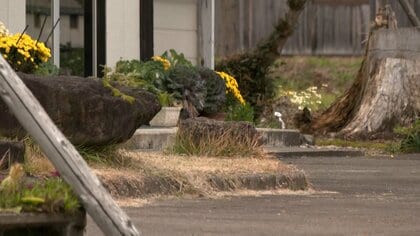 クマによる人身被害各地で相次ぐ…秋田で男女3人・新潟で男性1人・青森で男性1人ケガ