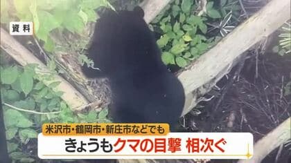【クマ出没】線路上に体長約1メートルの成獣1頭　東隣には福祉施設・病院　山形・米沢市三沢