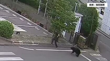 【速報】4人を襲い居座ったクマ　緊急銃猟体制の中で現場から逃げる＜福島県福島市＞