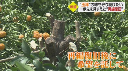収穫ができるには5年から10年…西日本豪雨から3年　災害に強いミカン園地へ“再編復旧”に希望託す【愛媛発】