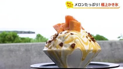 今しか味わえない！富山の「夏のあまいもの」2選　海を見ながらのかき氷、自家農園の桃パフェ