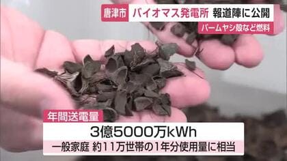 木材などを燃料とした「バイオマス発電所」が唐津市に 11万世帯1年分の使用量に相当【佐賀県】